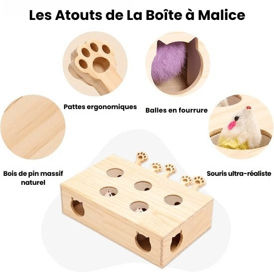 La Boîte à Malice | Maison féline
