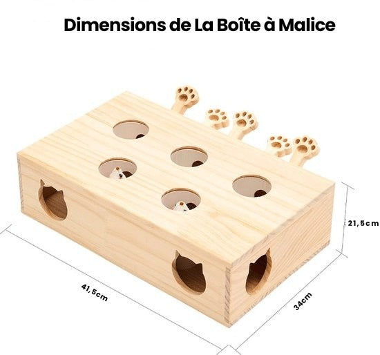 La Boîte à Malice | Maison féline