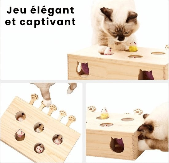La Boîte à Malice  |  Maison féline