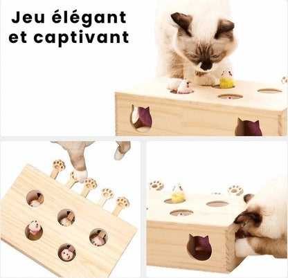 La Boîte à Malice  |  Maison féline