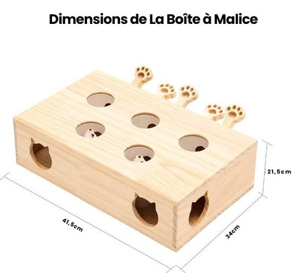 La Boîte à Malice  |  Maison féline